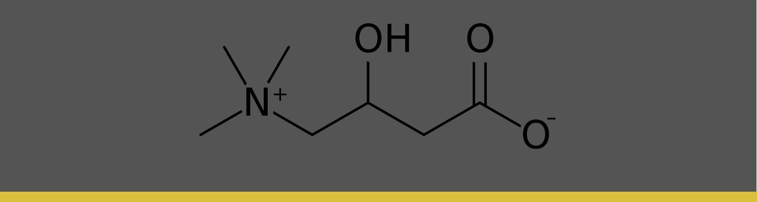 Wat Is L-Carnitine?