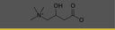 Wat Is L-Carnitine?